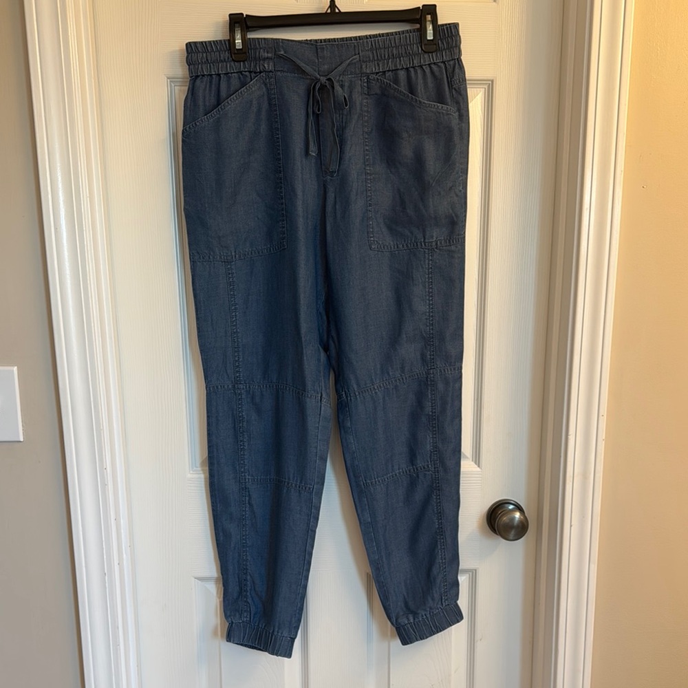 Banana Republic Sky Blue Relaxed Joggers